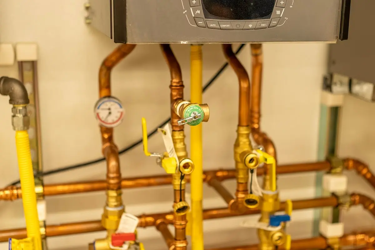 Licensed technician providing Sump Pump Repair for a homeowner in Potomac